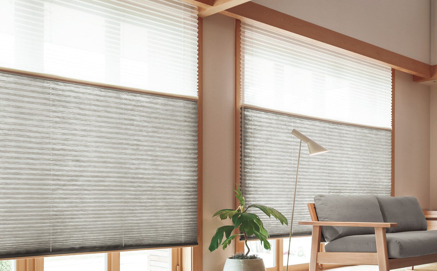 popular window shades